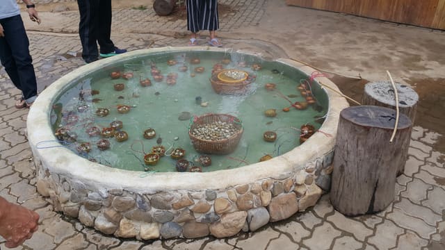 Mae Kachan Hot Spring in Chiang Rai, Thailand — photo 3